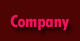 campany overview
